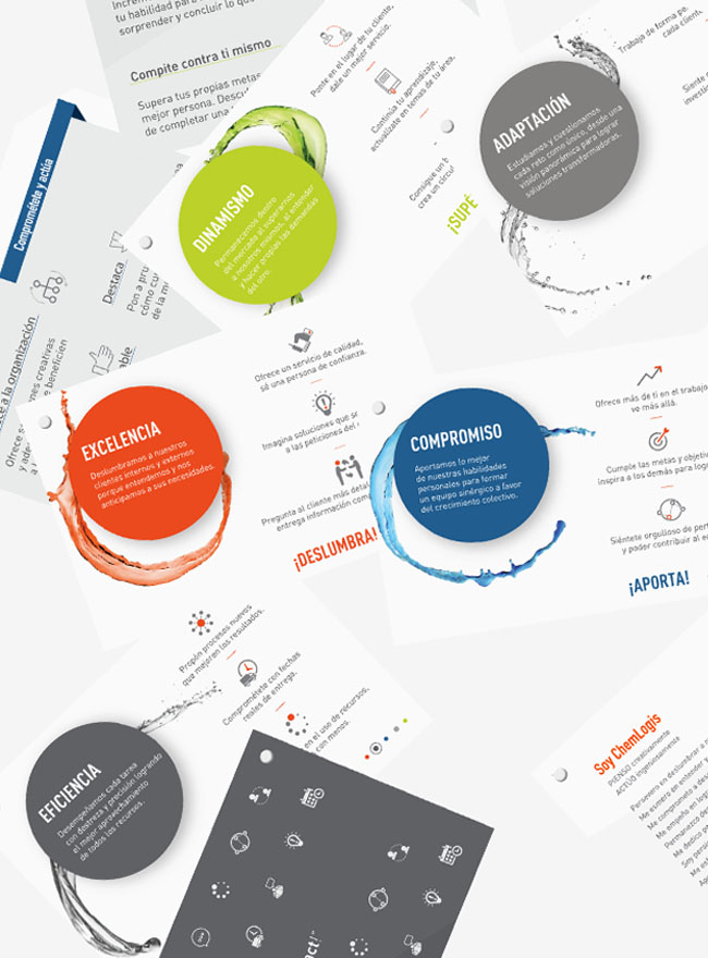 VALORES CHEMLOGIS